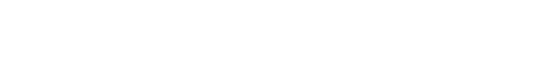 DNAI Logo